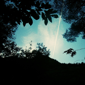 苏琪个人详细资料简介图片
